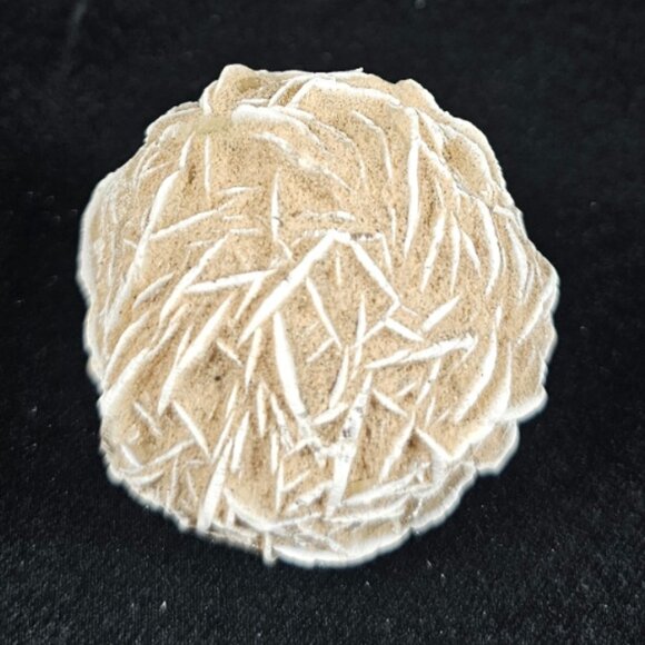 Desert Rose - Picture 1 of 4